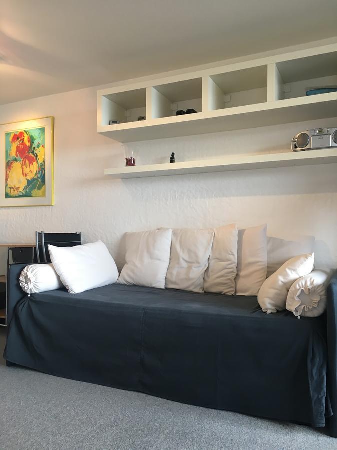 Panorama Apartment Villars-sur-Ollon Ngoại thất bức ảnh